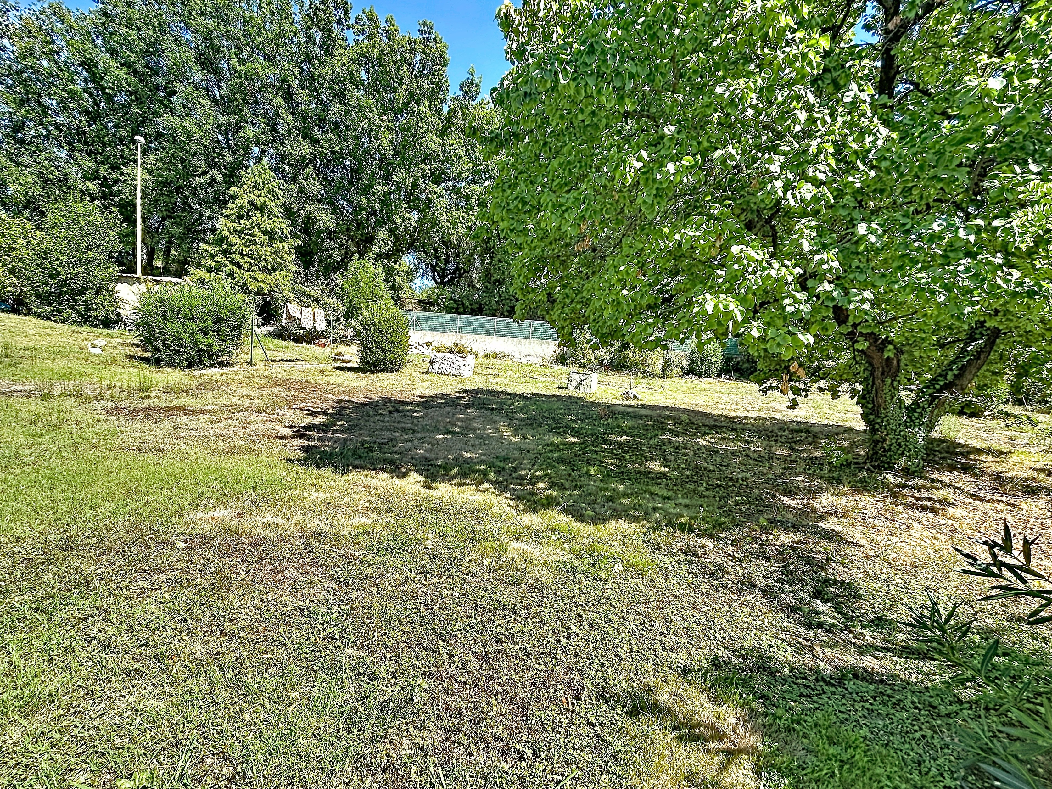 Terrain
